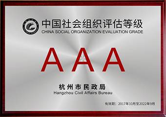 中国社会组织评估等级
